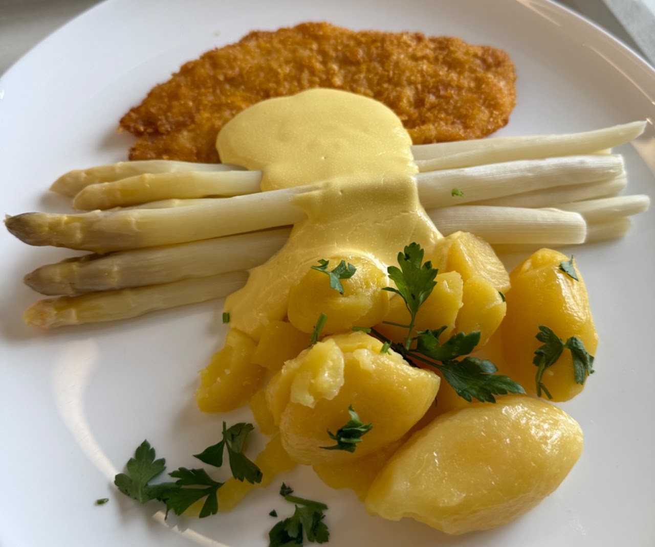 Younghyun Lee at MZES in Mannheim